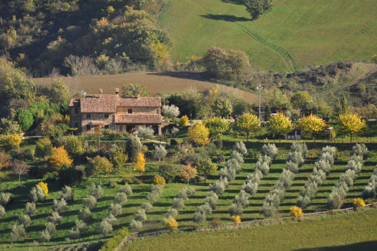 Agriturismo La Valle Dimenticata Urbania Buitenkant foto