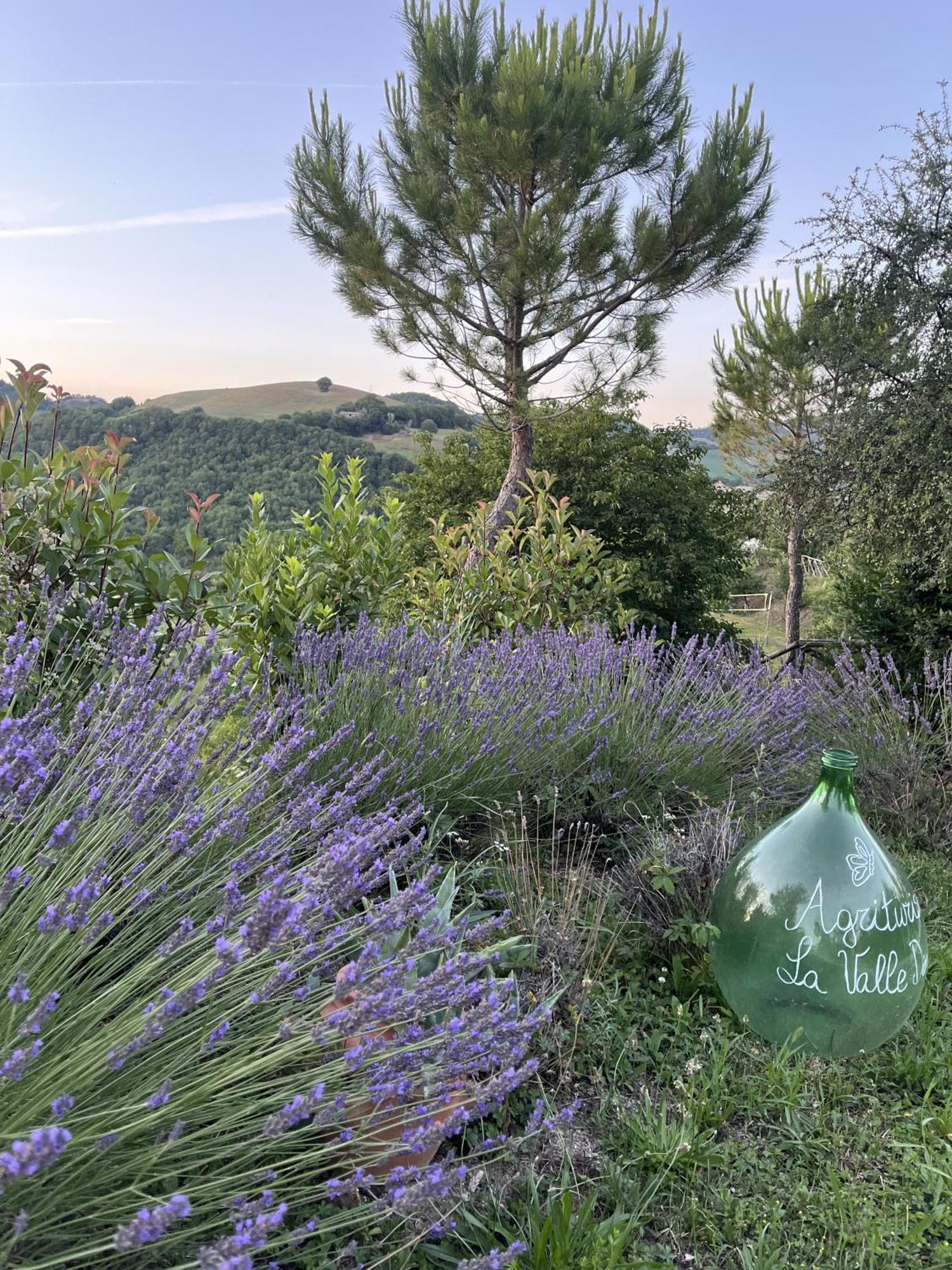 Agriturismo La Valle Dimenticata Urbania Buitenkant foto